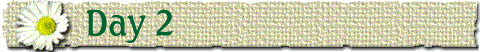 Day 2