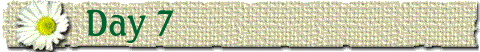 Day 7